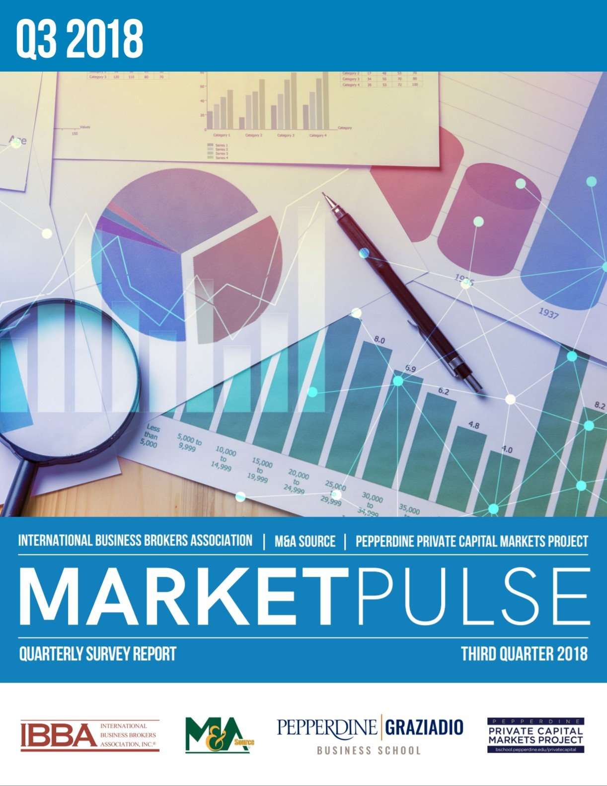 Market Pulse 2018 Q3 | Delta Business Advisors